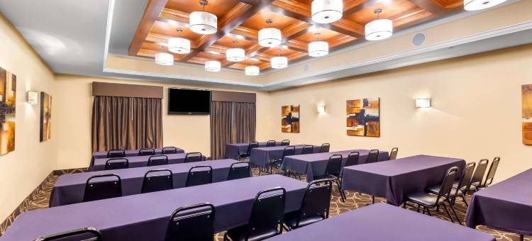 卡蒂舒适套房酒店(Comfort Suites at Katy Mills)图片