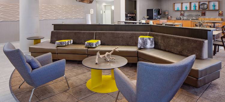 阿德莫尔万豪SpringHill Suites 酒店(SpringHill Suites Ardmore)图片