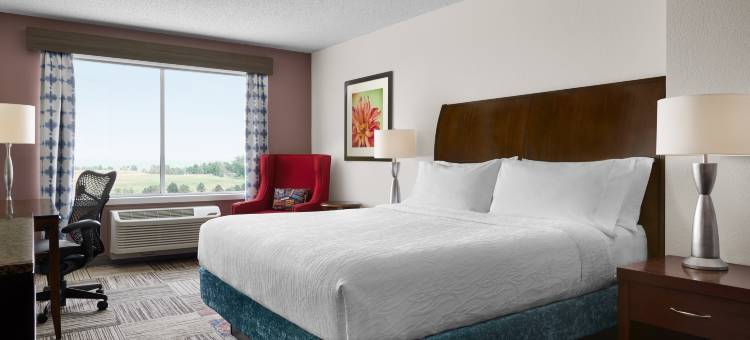 丹佛南公园梅多斯区希尔顿花园酒店(Hilton Garden Inn Denver South Park Meadows Area)图片