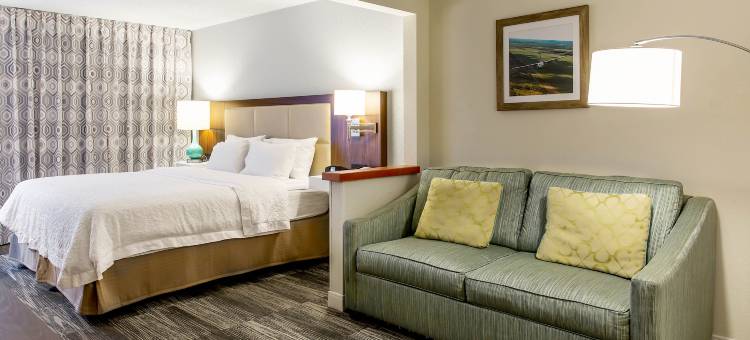 明尼阿波利斯圣保罗伍德伯里欢朋酒店(Hampton Inn Minneapolis-St. Paul/Woodbury)图片