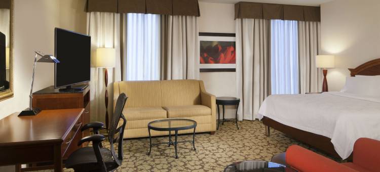 弗吉尼亚镇中心希尔顿花园海滩酒店(Hilton Garden Inn Virginia Beach Town Center)图片