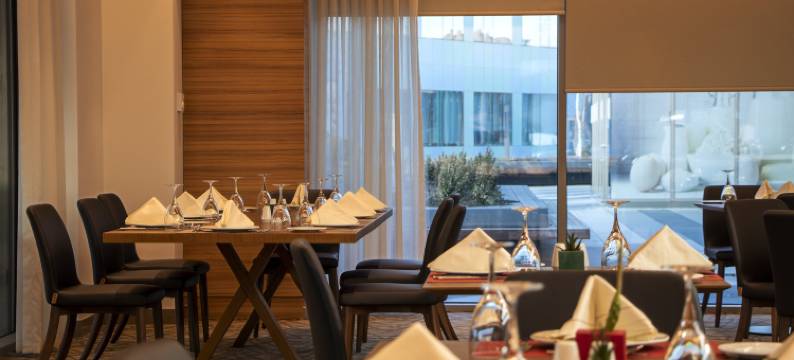 安卡拉因瑟克希尔顿逸林酒店(DoubleTree by Hilton Ankara Incek)图片