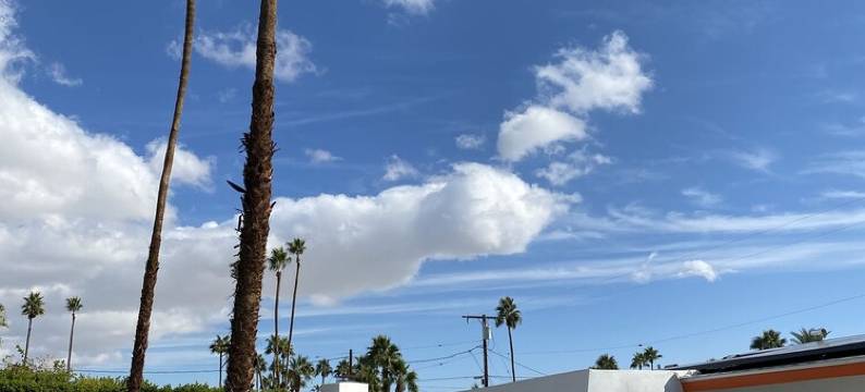 Luxurious Villa, Renovated, Fully Featured Mid-Century Modern Meiselman Oasis图片