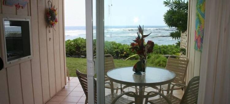 Beautiful Ocean/Beachfront Property and A Private Back Yard!  AC in both BDRMS!图片