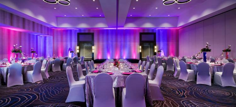 圣安东尼奥地标希尔顿安泊酒店(Embassy Suites by Hilton San Antonio Landmark)图片