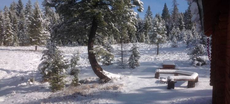 蒙大拿州西北部林地宁静放松温馨木屋 11月特惠!(Cozy Cabin in the Woods of NW Montana, Peaceful & Relaxing! November SPECIALS!)图片