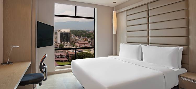 加德满都泰美尔雅乐轩酒店(Aloft Kathmandu Thamel)图片