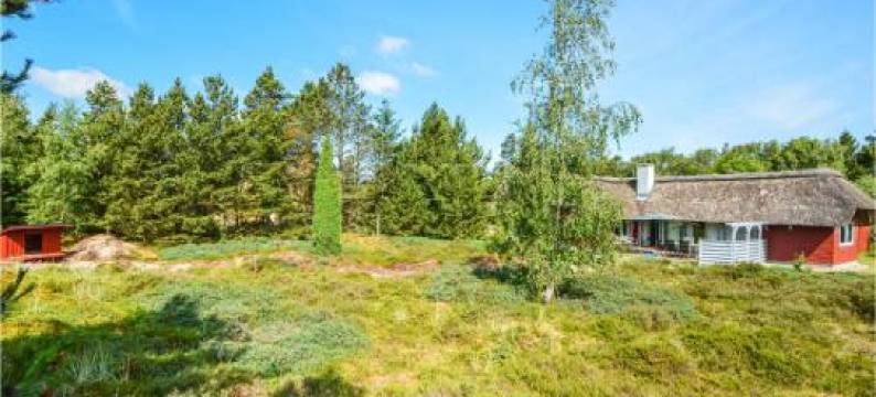 洛莫度假屋 * LXX *(Holiday Home Romo LXX)图片