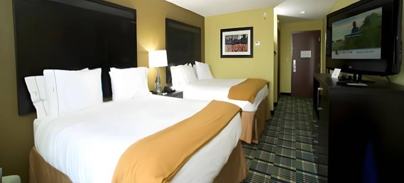 智选假日套房酒店莫里尔顿(Holiday Inn Express & Suites MORRILTON by IHG)图片