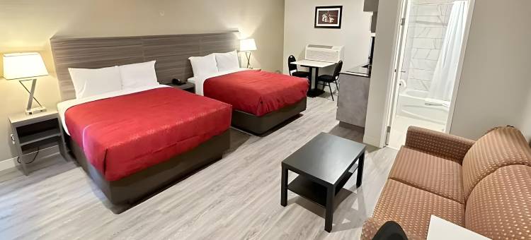 山麓汽车旅馆(Econo Lodge Inn & Suites)图片