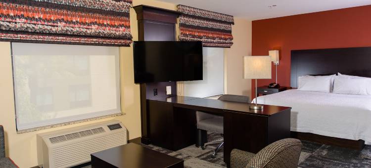 希尔顿欢朋套房酒店-菲尼克斯城钱德勒频谱大道(Hampton Inn & Suites Phoenix Chandler-Fashion Center)图片