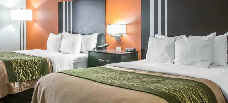 莫米 - 佩里斯堡区舒适酒店(Comfort Inn Maumee - Perrysburg Area)图片