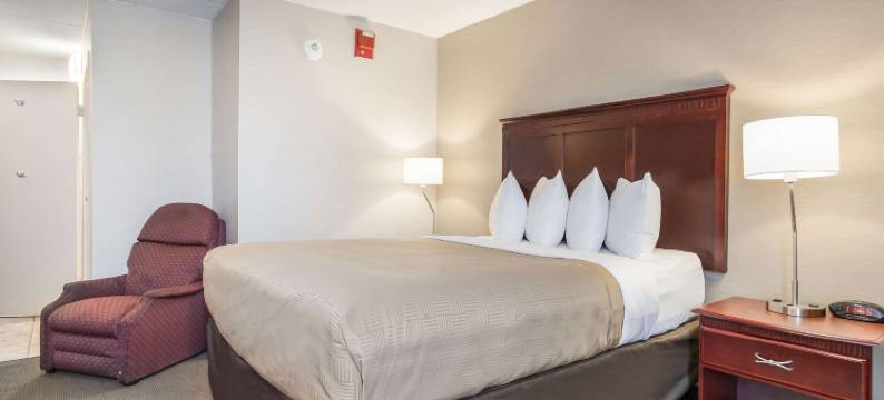 克拉丽奥酒店及套房-机场(Clarion Inn and Suites Airport)图片