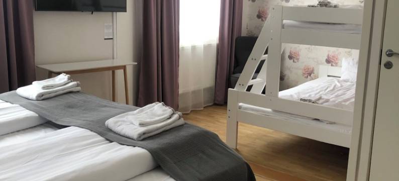 斯莫兰斯泰纳酒店(Smålandsstenar Hotell)图片