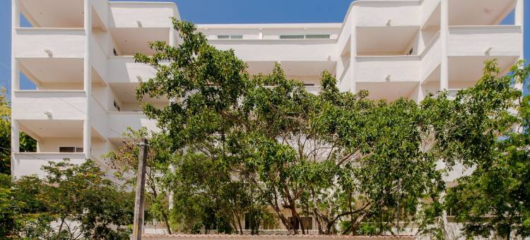 阿尔波尔公寓式客房民宿(Condo Casa del Arbol)图片