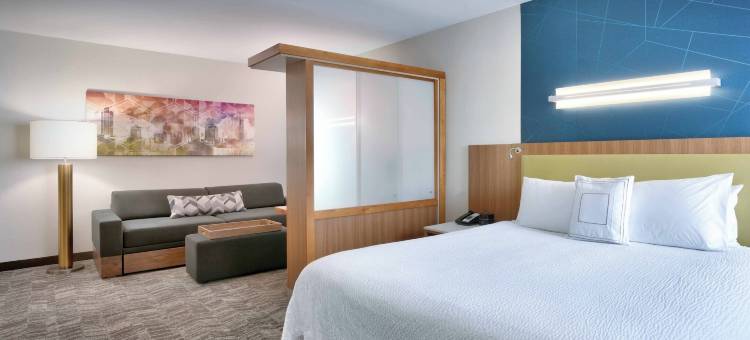 盐湖城德雷珀万豪SpringHill酒店(SpringHill Suites Salt Lake City Draper)图片