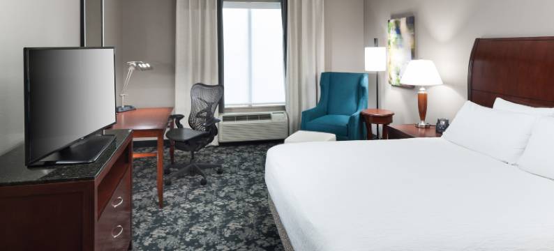 弗赖拉辛达拉斯希尔顿花园酒店(Hilton Garden Inn Dallas Frisco)图片