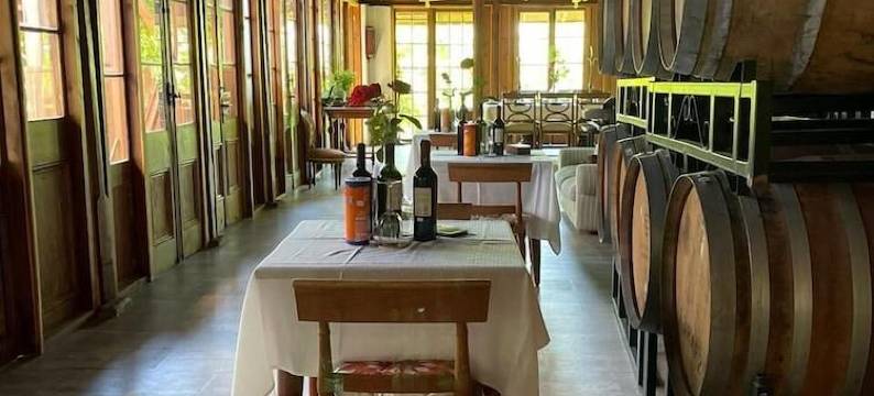 Hotel Boutique Vendimia Parador图片