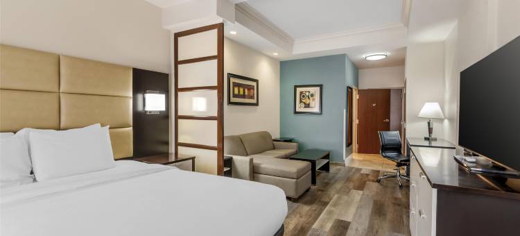 JFK贝斯特韦斯特优质套房酒店(Best Western Plus JFK Inn  Suites)图片