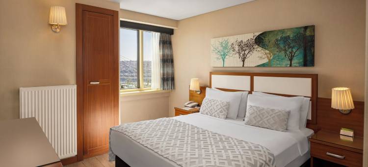 伊斯坦布尔金城大酒店(Istanbul Golden City Hotel)图片