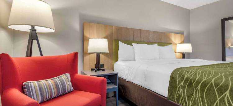 利物浦舒适酒店及套房-锡拉丘兹北(Comfort Inn & Suites Liverpool - Syracuse North)图片