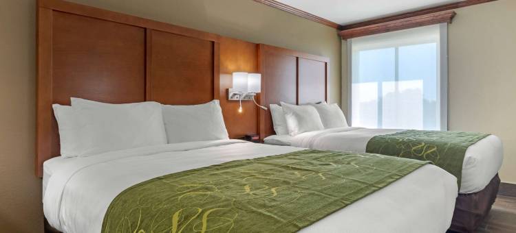 韦斯特门罗舒适套房伊克汉密尔顿博览中心附近(Comfort Suites West Monroe Near Ike Hamilton Expo Center)图片