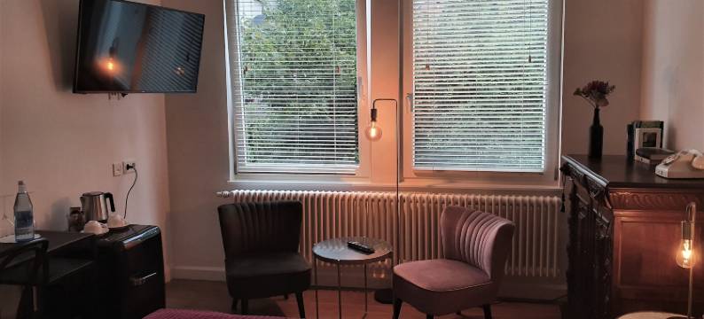 贵族酒店别墅霍尔巴赫(Boutique Hotel Villa Horbach)图片