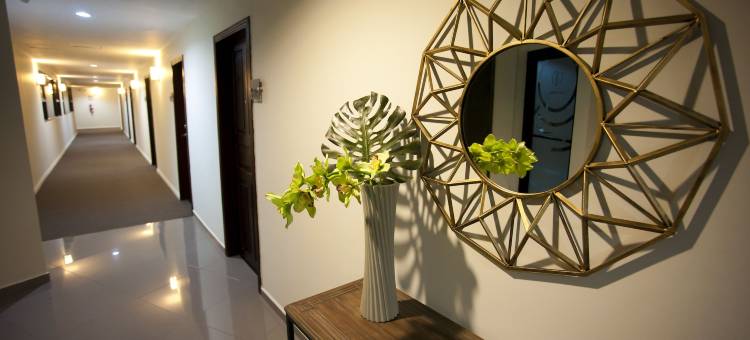 安第斯酒店(Hotel Los Andes)图片