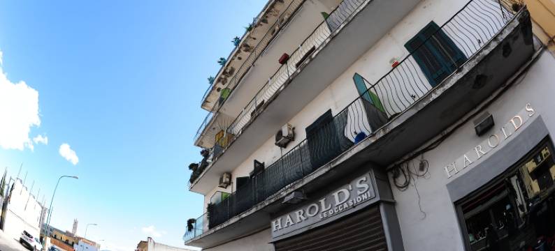 最后楼层酒店(The Last Floor)图片