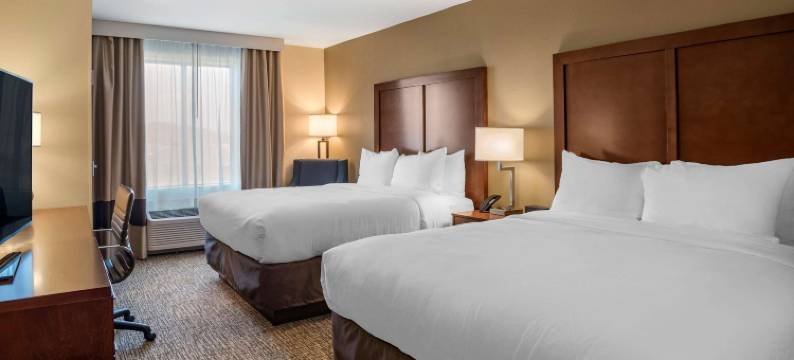 舒适套房酒店(Comfort Inn & Suites)图片