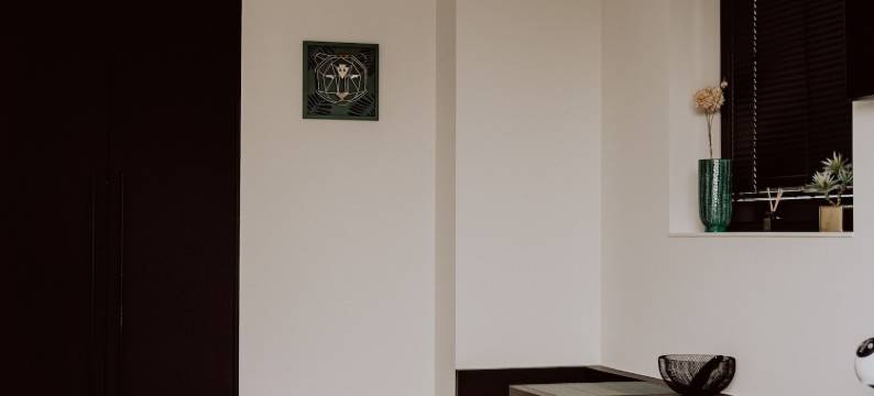 兰斯洛(Ramslo)图片