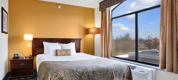 沃里斯/芒特劳雷尔舒适套房酒店(Comfort Inn & Suites Voorhees/Mt. Laurel)图片