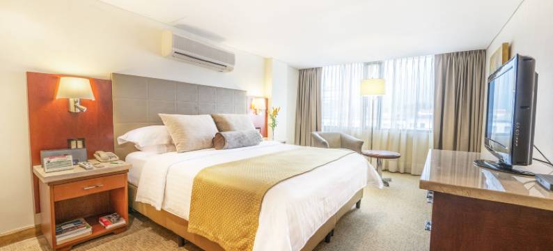 波哥大广场酒店(Bogota Plaza Hotel)图片