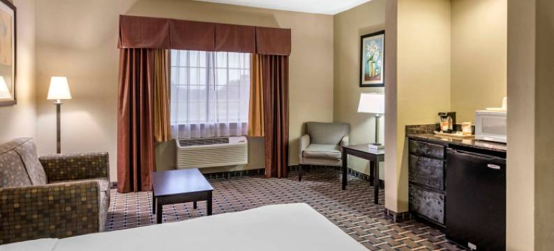 克洛维斯北部的舒适套房酒店(Comfort Suites Clovis North)图片