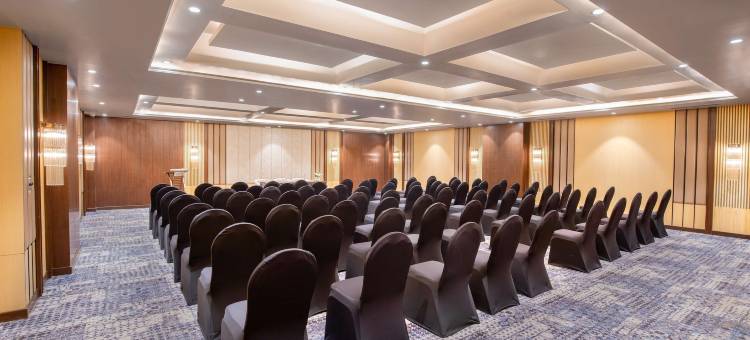 达拉姆沙拉丽笙度假酒店(Radisson Blu Resort Dharamshala)图片