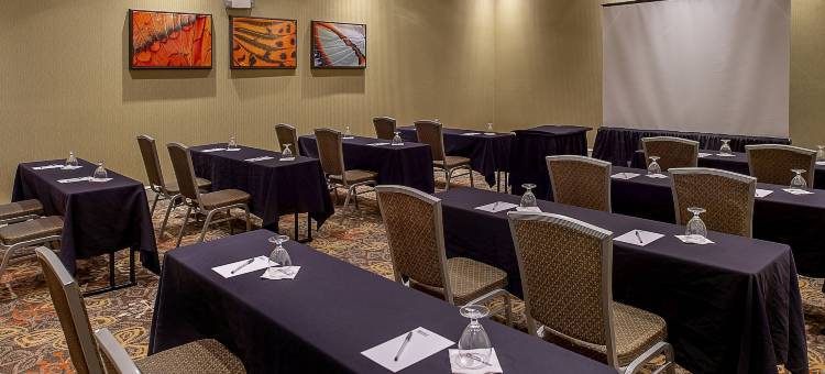 圣路易斯机场希尔顿花园酒店(Hilton Garden Inn St. Louis Airport)图片