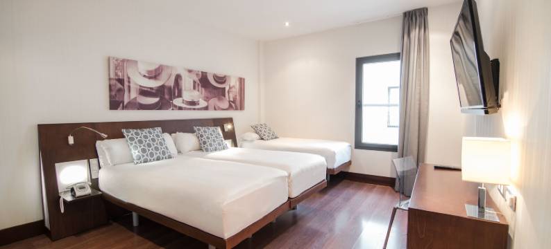 圣安娜珀蒂宫马克斯酒店(Petit Palace Marques Santa Ana)图片