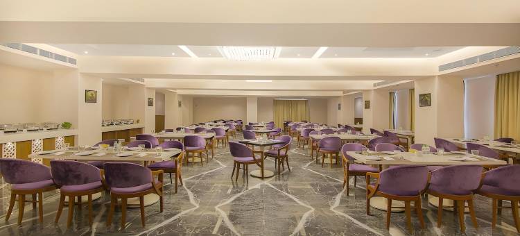 HRJ Sarovar Portico 印多尔(Hrj Sarovar Portico Indore)图片