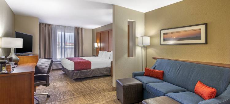布伦瑞克舒适酒店(Comfort Suites Brunswick)图片