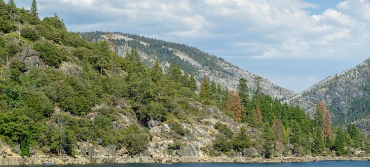 伐木工人酒店(Hotel Lumberjack)图片