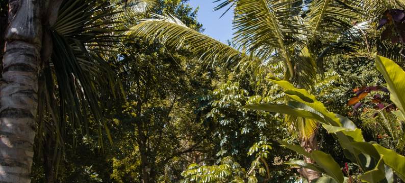 本土酒店及Spa(Nativ Lodge and Spa)图片