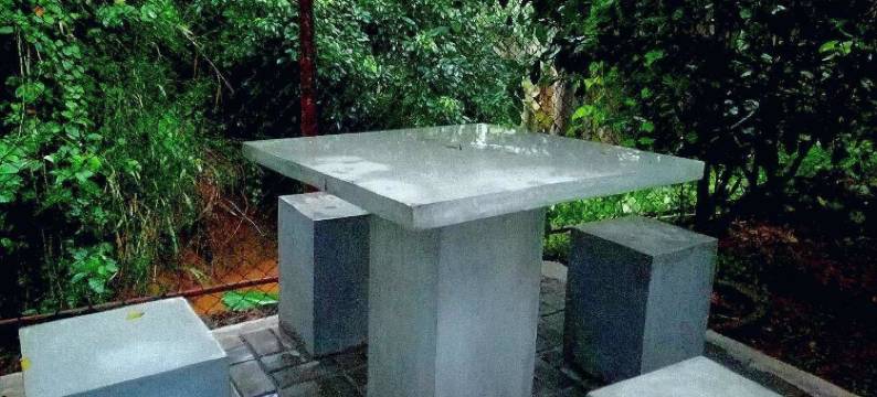 雄狮自然酒店(Hotel Lion Nature)图片