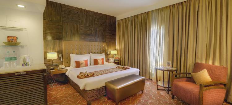 钦奈傲世酒店(Pride Hotel, Chennai)图片