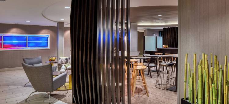 盐湖城市中心万豪SpringHill Suites 酒店(SpringHill Suites Salt Lake City Downtown)图片