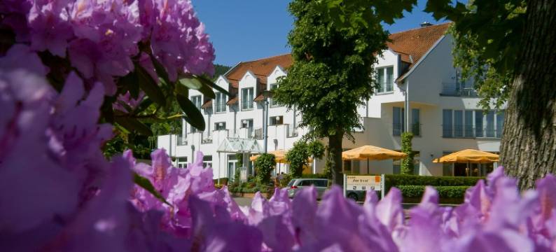 泽尔波斯特阿肯森特酒店(Akzent Hotel Zur Post)图片