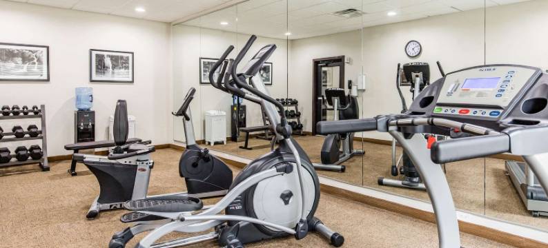 舒眠套房酒店(Sleep Inn & Suites - Bryan)图片