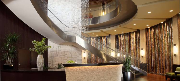 伍德兰斯凯悦尚萃酒店(Hyatt Centric the Woodlands)图片