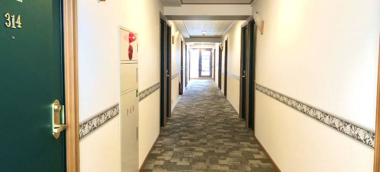 东横INN-湘南茅崎站北口(Toyoko Inn Shonan Chigasaki-eki Kita-guchi)图片