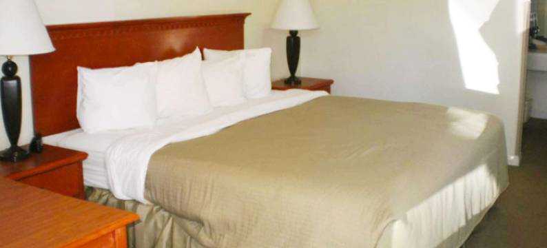 马格努森公园风光酒店(Magnuson Hotel Park Vue)图片