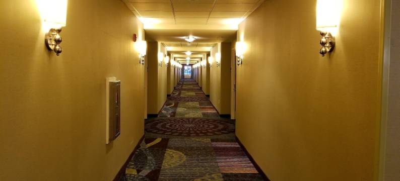 冰河山峰酒店(Glacier Peaks Hotel)图片